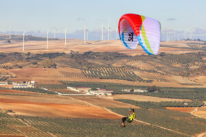 Susi 4 - Image 14