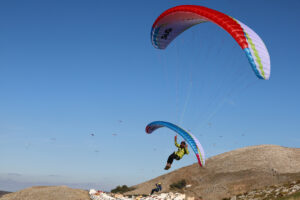 Susi 4 - Image 15