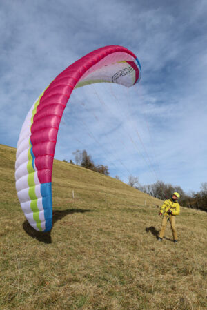 Susi 4 - Image 13