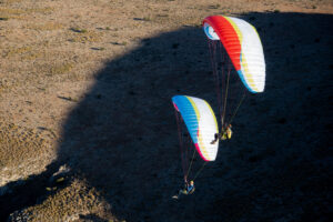Susi 4 - Image 8