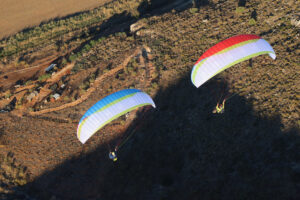 Susi 4 - Image 7